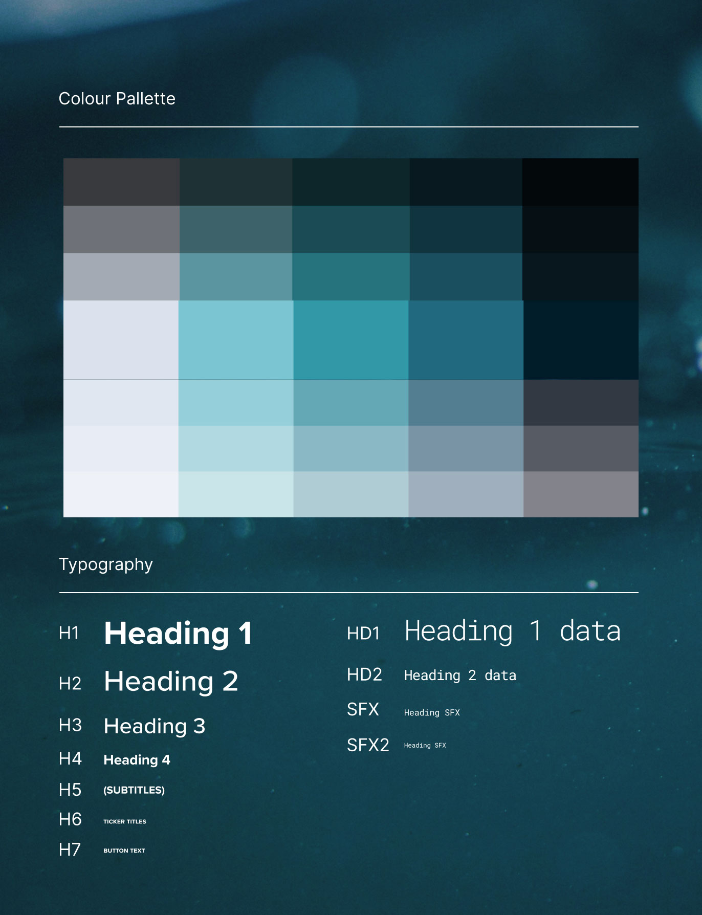 Colour palette and typography system drawn from underwater photography